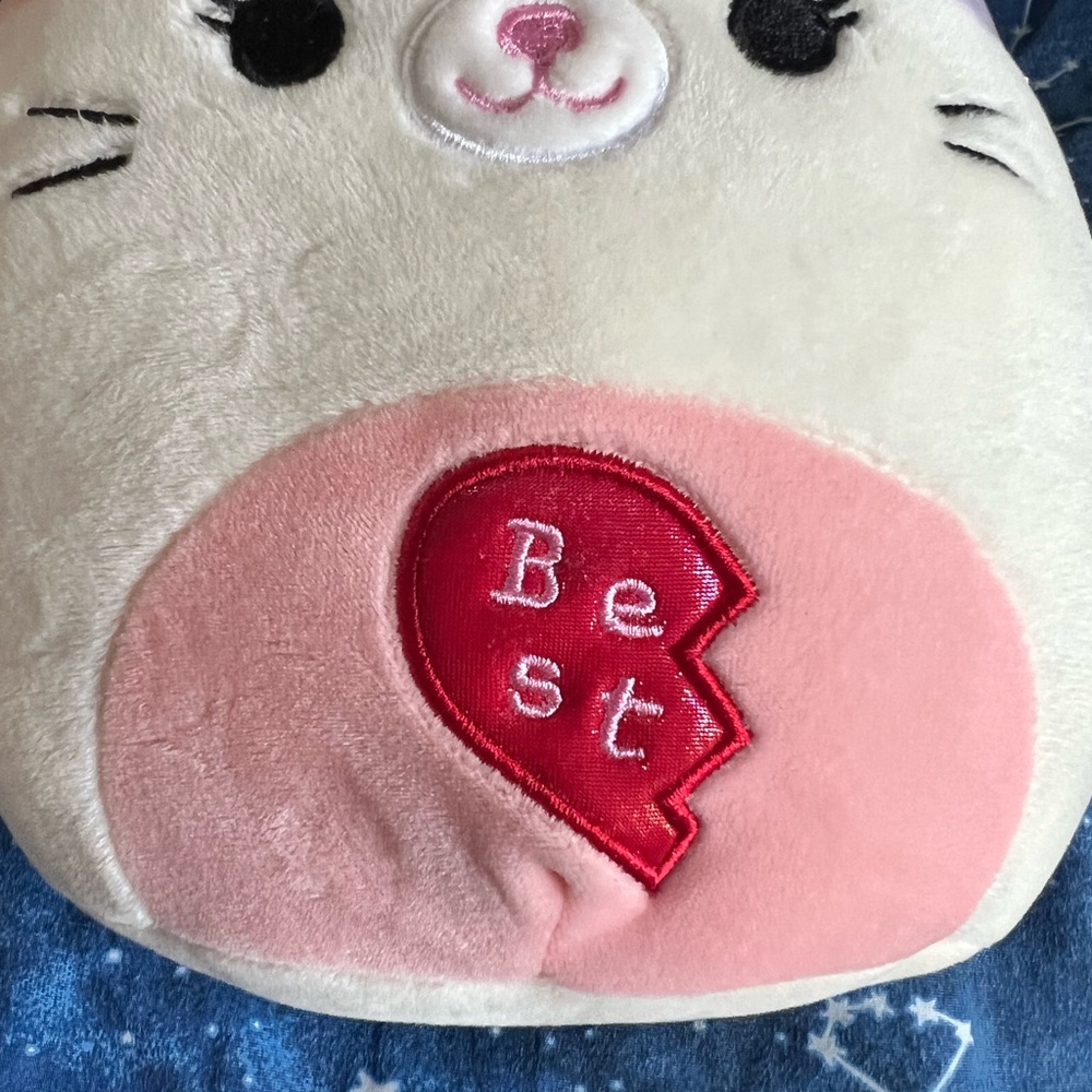NWOT Squishmallows - Nell the Cat - Picture 2 of 4